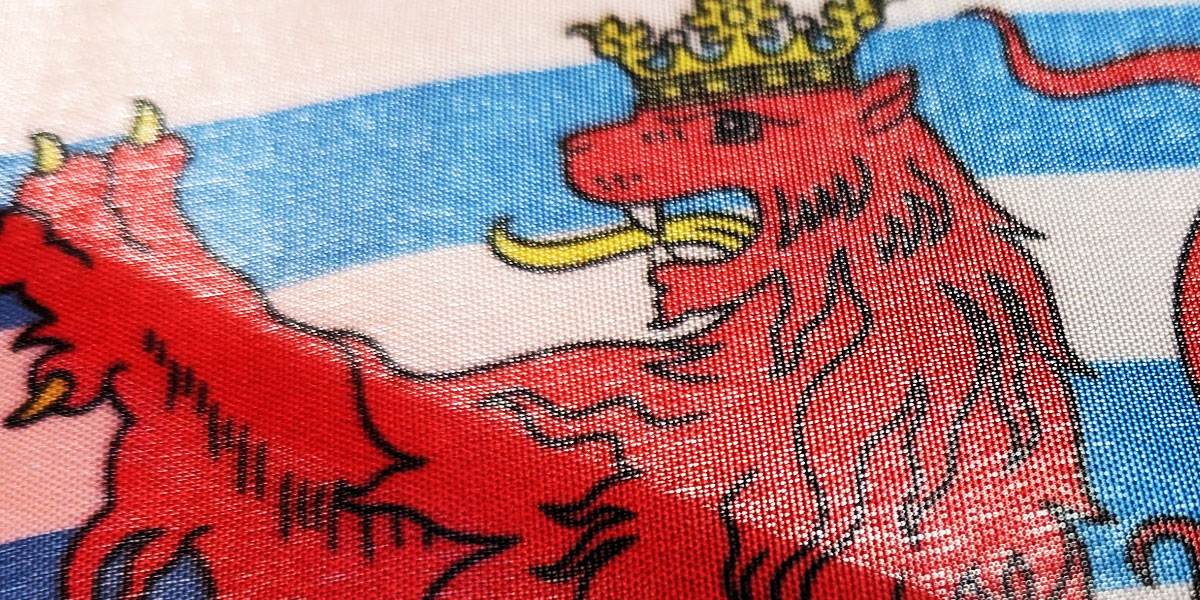 A close-up of a flag of the red lion, symbol of Luxembourg.